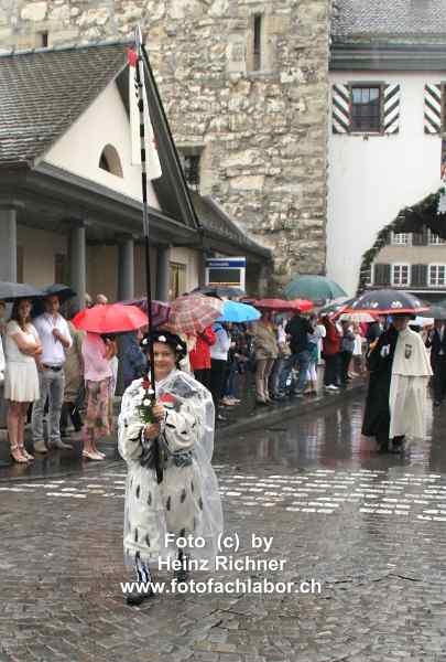 22059 maienzug.jpg